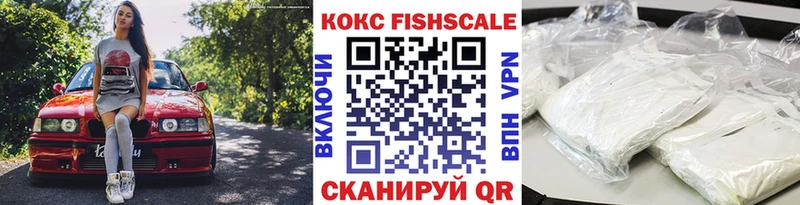 закладка  Мензелинск  Cocaine Fish Scale 
