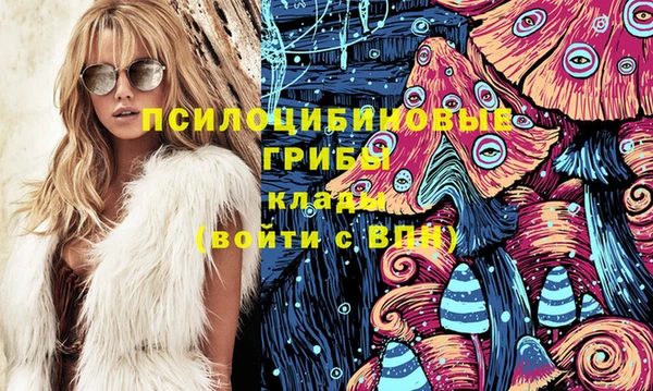 МДМА Бородино